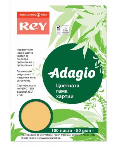 Цветна копирна хартия Rey Adagio - Gold, A4, 80 g, 100 листа - 1