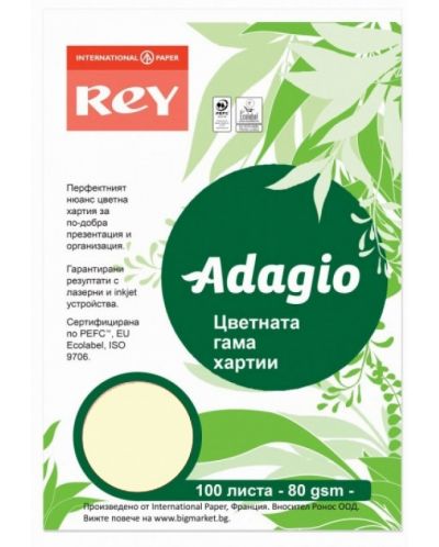 Цветна копирна хартия Rey Adagio - Ivory 93, A4, 80 g, 100 листа - 1