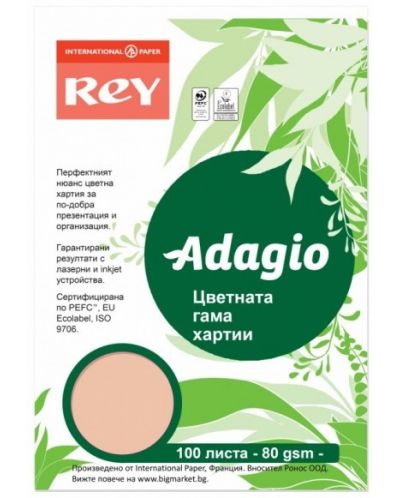 Цветна копирна хартия Rey Adagio - Peach, A4, 80 g, 100 листа - 1