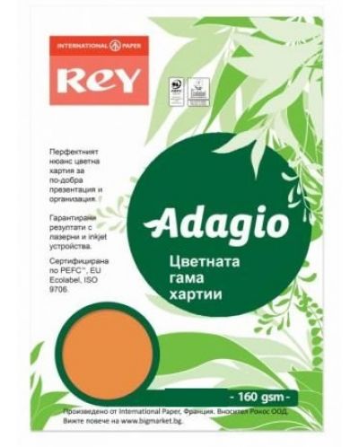 Цветен копирен картон Rey Adagio - Pumpkin, A4, 160 g, 100 листа - 1