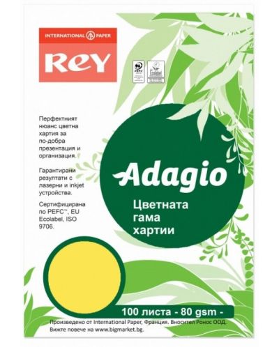 Цветна копирна хартия Rey Adagio - Citrus 58, A4, 80 g, 100 листа - 1