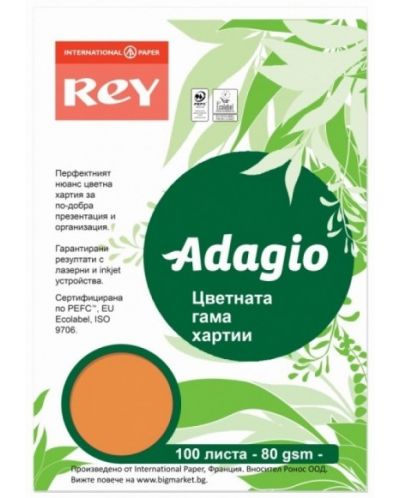 Цветна копирна хартия Rey Adagio - Pumpkin, A4, 80 g, 100 листа - 1
