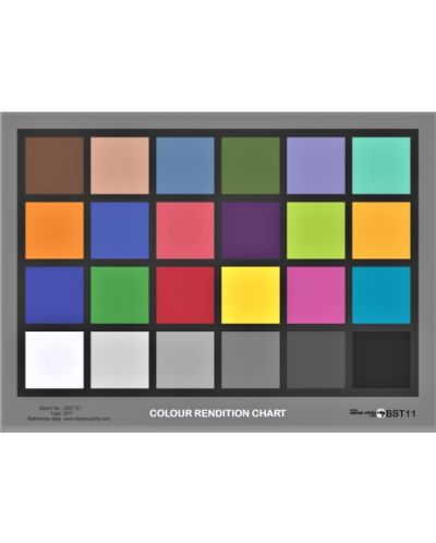 Цветна таблица Danes Picta - BST11 - 1