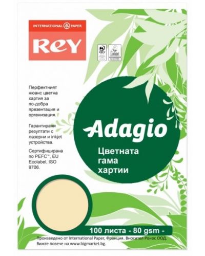 Цветна копирна хартия Rey Adagio - Sand, A4, 80 g, 100 листа - 1