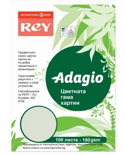 Цветен копирен картон Rey Adagio - Green, A4, 160 g, 100 листа - 1