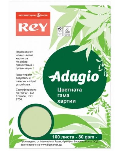 Цветна копирна хартия Rey Adagio - Bright Green, A4, 80 g, 100 листа - 1