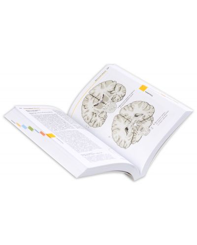 Цветен атлас по анатомия в 3 тома - том 3: Нервна система и сетивни органи - 7