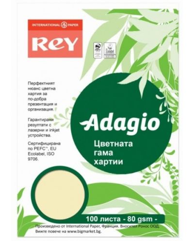 Цветна копирна хартия Rey Adagio - Canary Yellow, A4, 80 g, 100 листа - 1