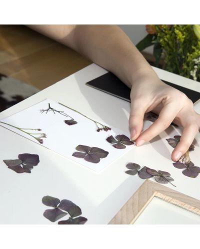 Творчески комплект Kikkerland Huckleberry - Направи картина със сушени цветя - 4