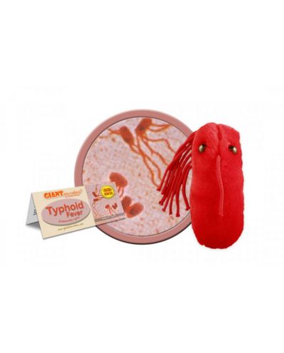 Плюшена играчка Коремен тиф (Salmonella typhi) - 2
