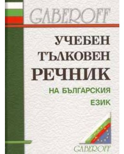 Учебен тълковен речник на българския език (твърди корици) - 1