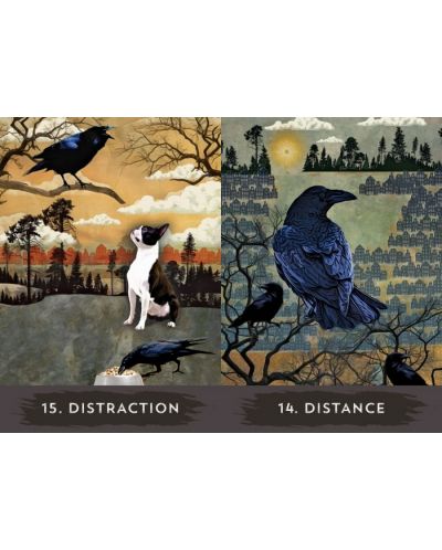 Urban Crow Oracle: A 54-Card Deck and Guidebook - 4