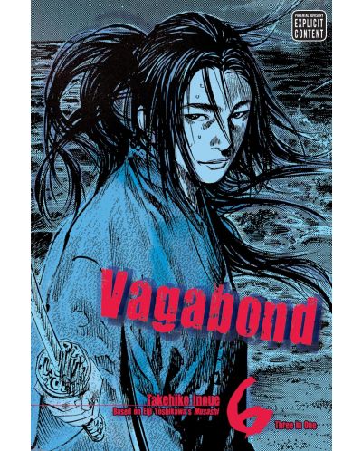 Vagabond, Vol. 6