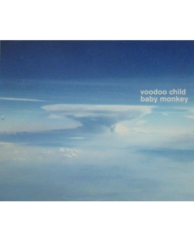 Voodoo Child - Baby Monkey (CD)