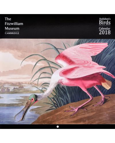 Wall Calendar 2018: Fitzwiliam Musuem - Audubon Birds - 1