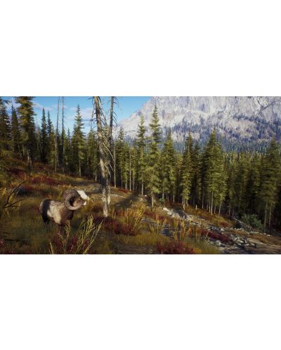 Way of the Hunter - Hunting Season One (Xbox Series X) - 6