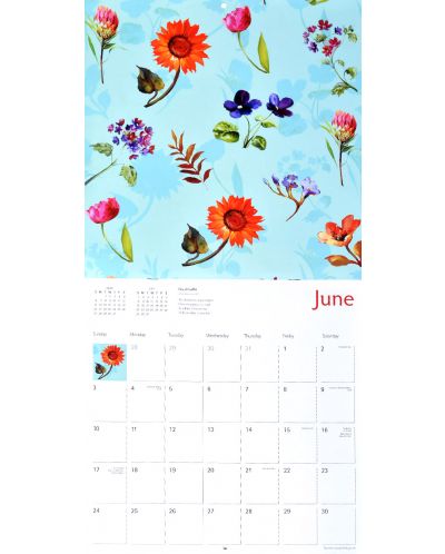 Wall Calendar 2018: Blooms by Nel Whatmore - 4