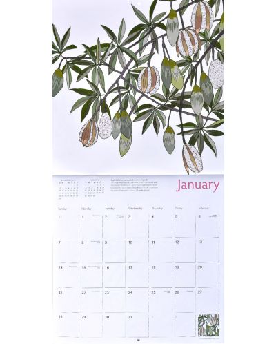 Wall Calendar 2018: Eden Project - Trees - 3