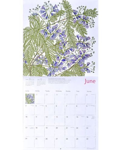 Wall Calendar 2018: Eden Project - Trees - 4