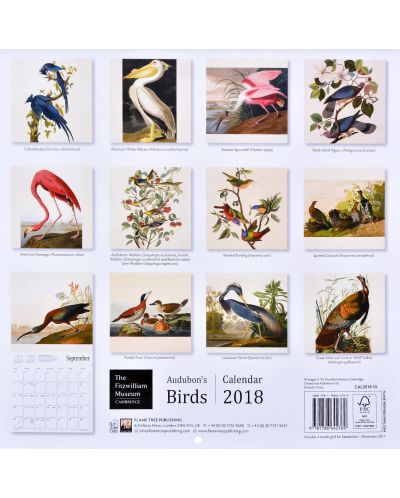 Wall Calendar 2018: Fitzwiliam Musuem - Audubon Birds - 2
