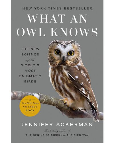 What an Owl Knows - 1