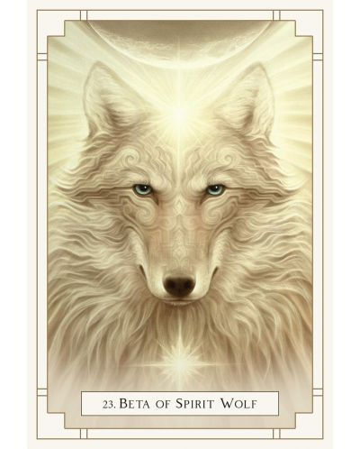 White Light Oracle: Enter the Luminous Heart of the Sacred (44-Card Deck and Guidebook) - 4