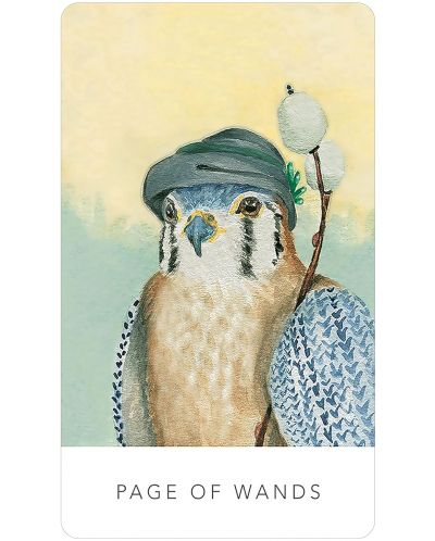 White Sage Tarot (78-Card Deck and Booklet) - 4