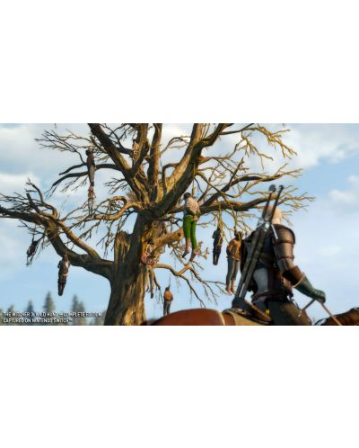 The Witcher 3: Wild Hunt Complete Edition (Nintendo Switch) - 14