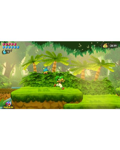 Wonder Boy: Asha in Monster World (Nintendo Switch) - 5