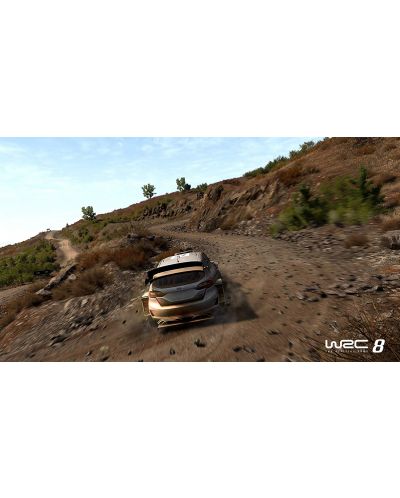 WRC 8 (Nintendo Switch) - 3