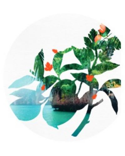 Yves Rocher Bain Nature Мист, манго и кориандър, 100 ml - 2