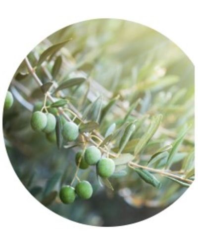 Yves Rocher Bain Nature Душ гел, маслина и петигрен, 200 ml - 3