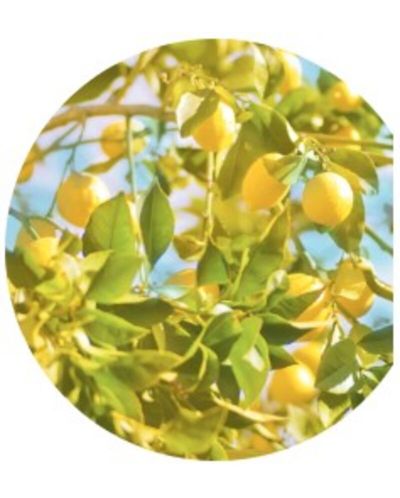 Yves Rocher Bain Nature Душ гел, лимон и босилек, 400 ml - 3