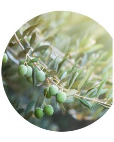Yves Rocher Bain Nature Мист, маслина и петигрен, 100 ml - 2