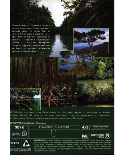 Забравената гора (DVD) - 2