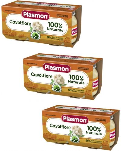 Зеленчуково пюре Plasmon - Карфиол, 6+ м,  6 броя х 80 g - 1