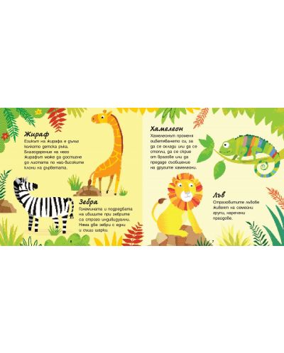 Животните: книга с любопитни факти + 2 образователни настолни игри с карти - 4