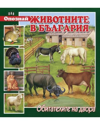 Опознай животните в България: Обитателите на двора - 1