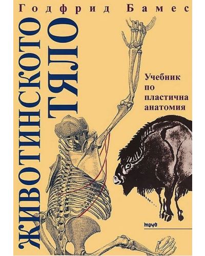 Животинското тяло: Учебник по пластична анатомия (твърди корици) - 1