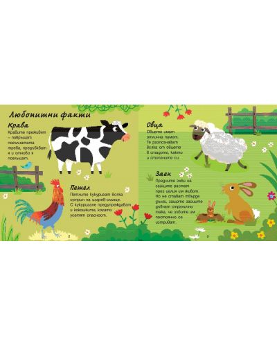 Животните: книга с любопитни факти + 2 образователни настолни игри с карти - 3