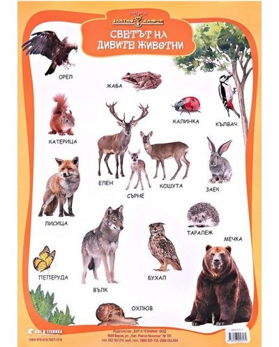 Златно ключе. Двустранно табло: Светът на дивите животни / Светът на домашните животни. Учебна програма 2025/2026 г. (Бит и техника)
