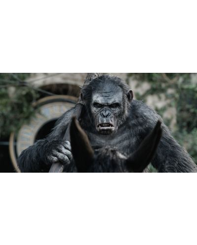 Зората на Планетата на маймуните 3D (Blu-Ray) - 15