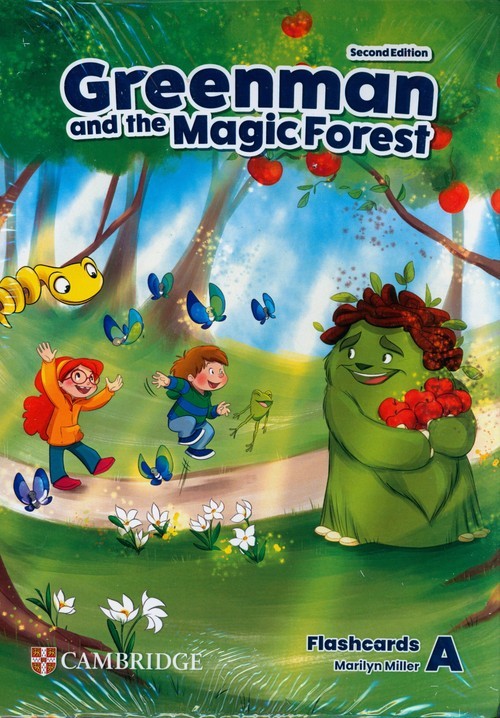 Greenman and the Magic Forest Level A Flashcards 2nd Edition