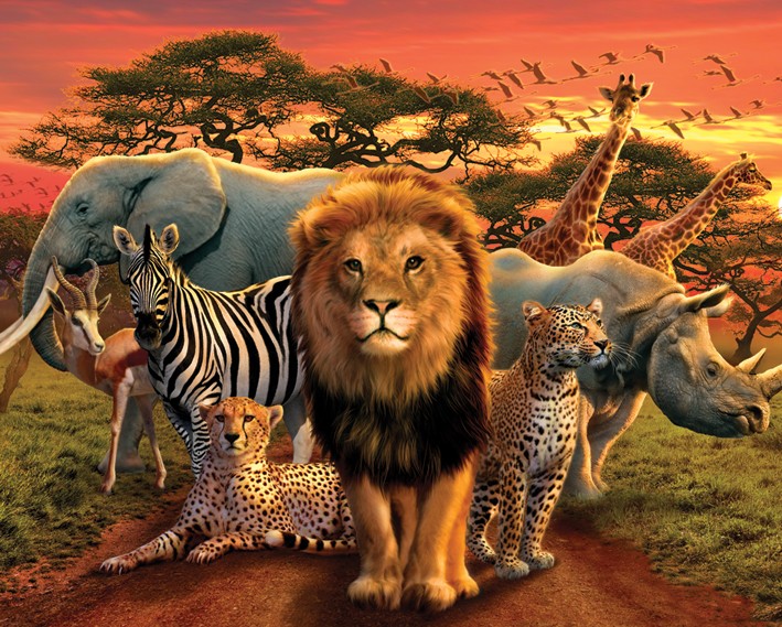 Мини плакат - African Kingdom
