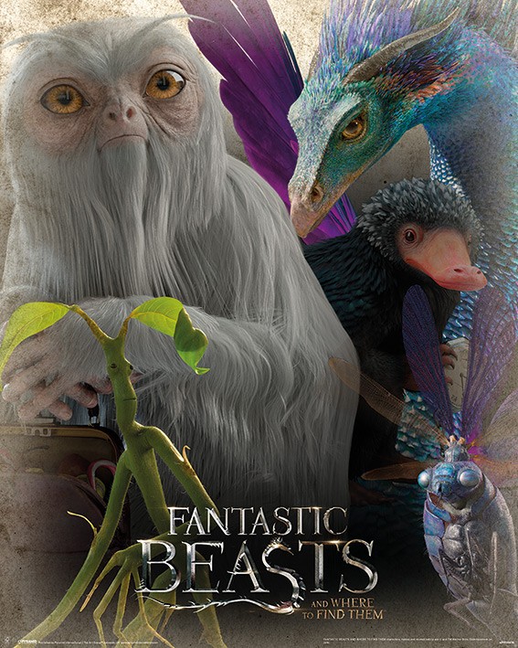 Мини плакат - Fantastic Beasts (Fantastic Beasts)