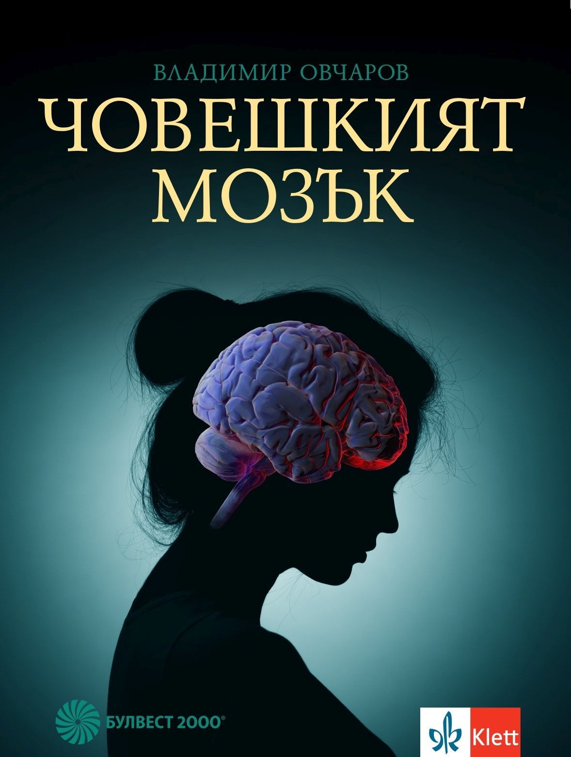 Човешкият мозък | Ozone.bg