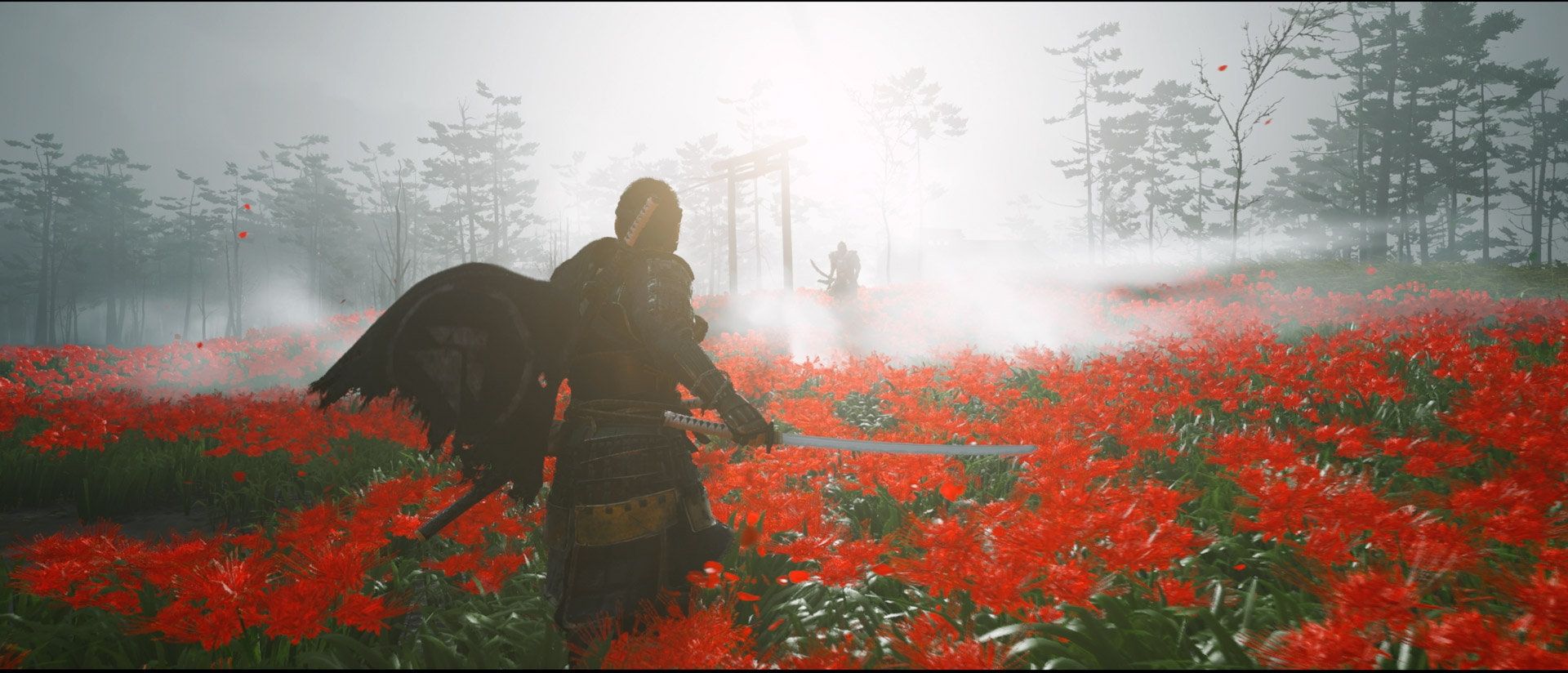 Ghost of Tsushima Collector