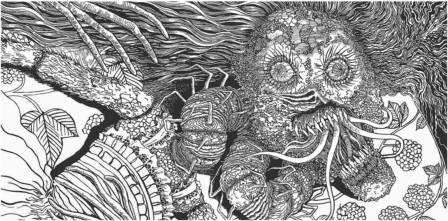 Junji Ito Collection: A Horror Coloring Book | Junji Ito | Цена | Ozone.bg