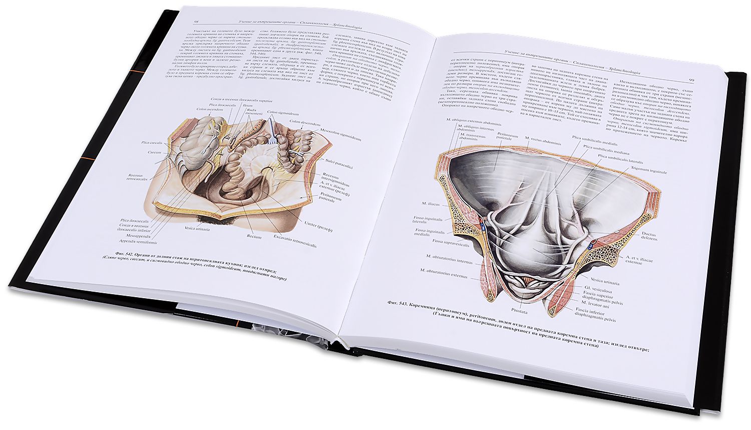 Колекция Атлас по анатомия на човека