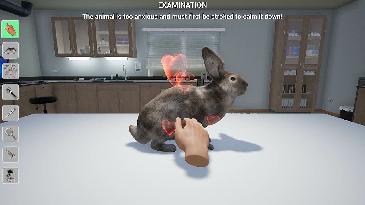 My Life: Pet Vet (Nintendo Switch) - 5